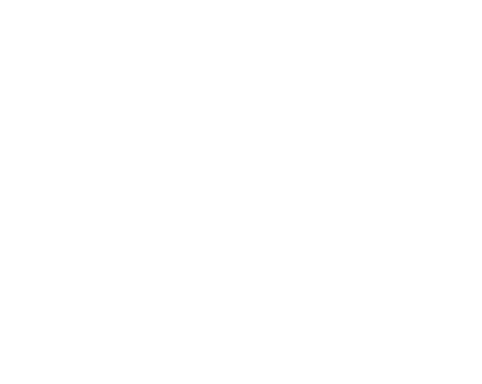Punch